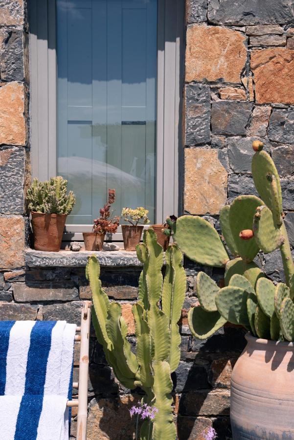 Villa Aiolos: Above The Sea, Within Agios Nikolaos Exteriér fotografie